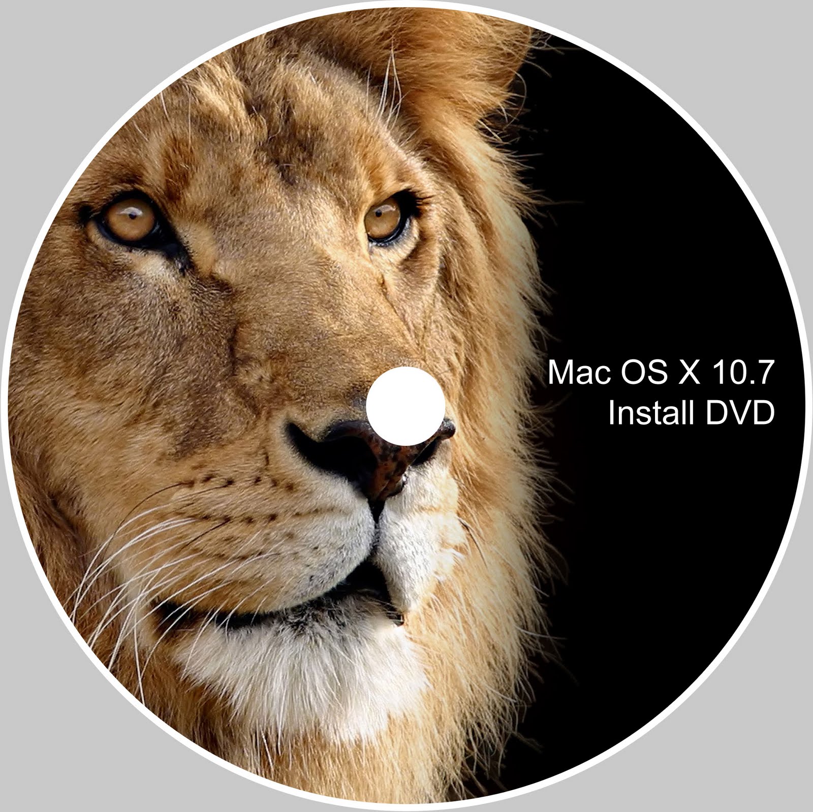 mac os x lion 10.7 torrent disk image